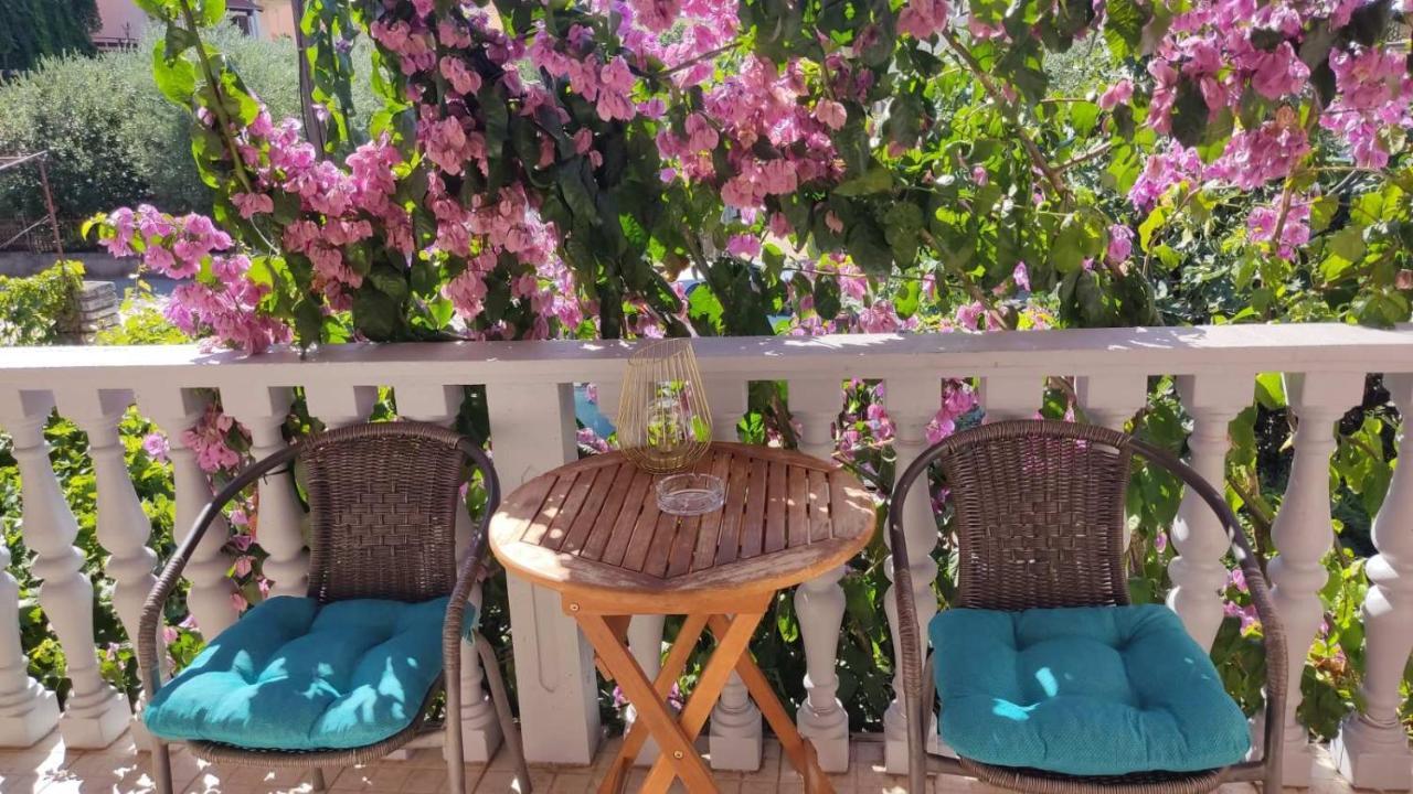 Toto Apartments Zadar Extérieur photo